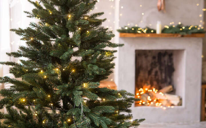 weihnachten weihnachtsbaum 800x500